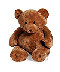 Het Valentijn cadeau is een knuffel !